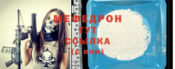 гидра Няндома
