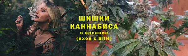 ГАЛЛЮЦИНОГЕННЫЕ ГРИБЫ Новозыбков