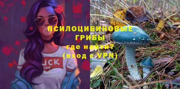 ГАЛЛЮЦИНОГЕННЫЕ ГРИБЫ Новозыбков