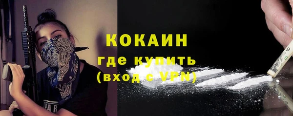 ГАЛЛЮЦИНОГЕННЫЕ ГРИБЫ Новозыбков