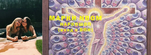 ГАЛЛЮЦИНОГЕННЫЕ ГРИБЫ Новозыбков