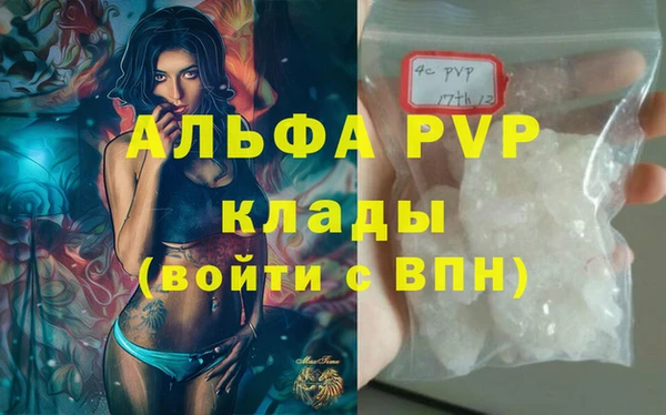 ГАЛЛЮЦИНОГЕННЫЕ ГРИБЫ Новозыбков