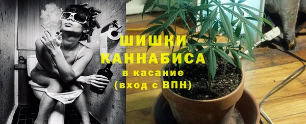 ГАЛЛЮЦИНОГЕННЫЕ ГРИБЫ Новозыбков