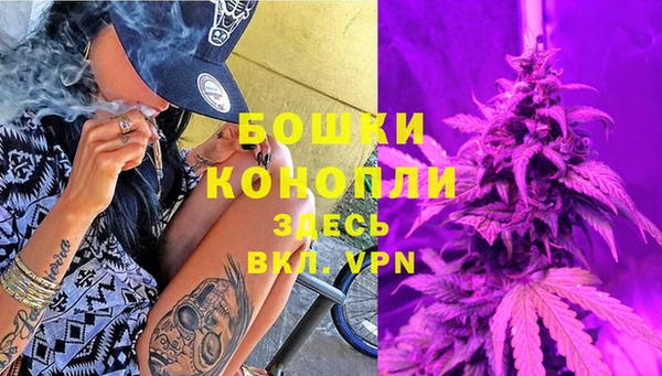 PSILOCYBIN Новодвинск