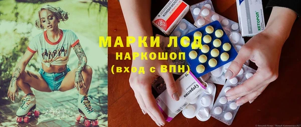 PSILOCYBIN Новодвинск