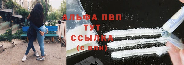 PSILOCYBIN Новодвинск