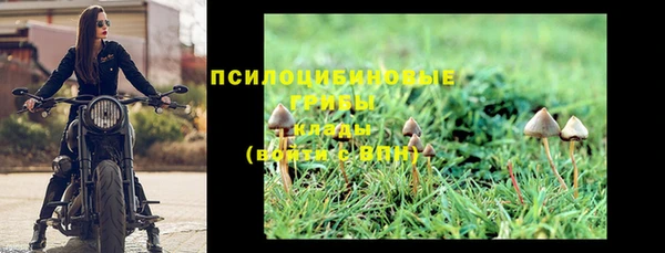 spice Новокубанск