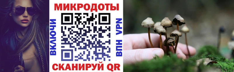 Псилоцибиновые грибы MAGIC MUSHROOMS Борисоглебск