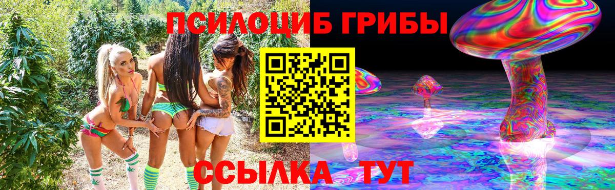 Галлюциногенные грибы MAGIC MUSHROOMS Борисоглебск