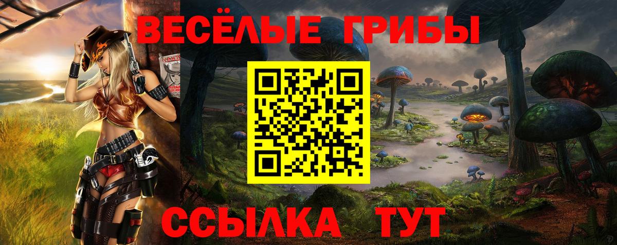как найти наркотики  Вход с VPN  Галлюциногенные грибы Psilocybine cubensis  Борисоглебск  Галлюциногенные грибы мухоморы 