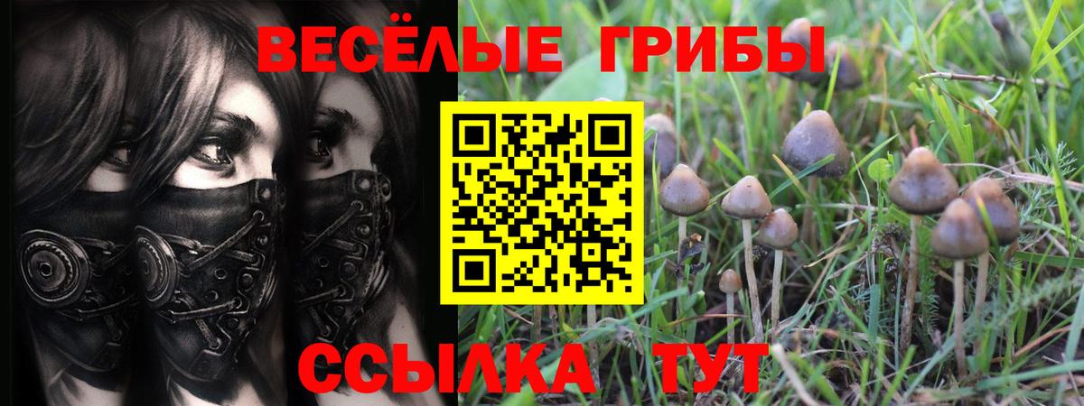 где купить наркотик  Псилоцибиновые грибы прущие грибы  Борисоглебск  Галлюциногенные грибы Cubensis 