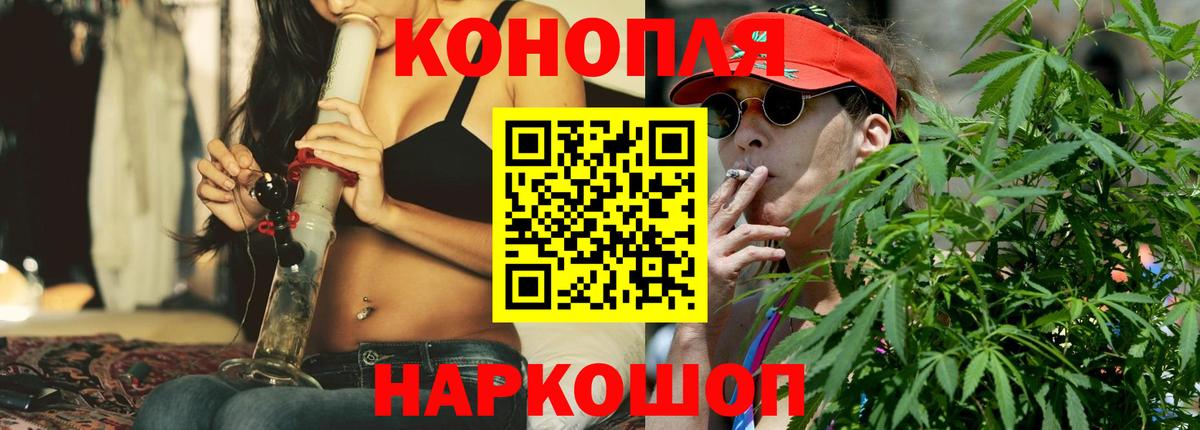 Каннабис план Борисоглебск