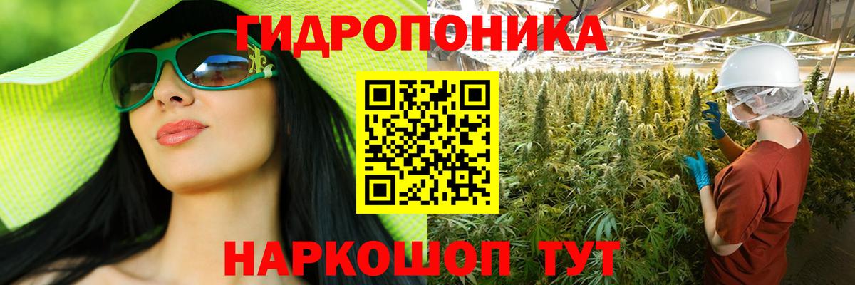 Конопля конопля  Канабис THC 21%  Борисоглебск  Канабис план  Вход с VPN 